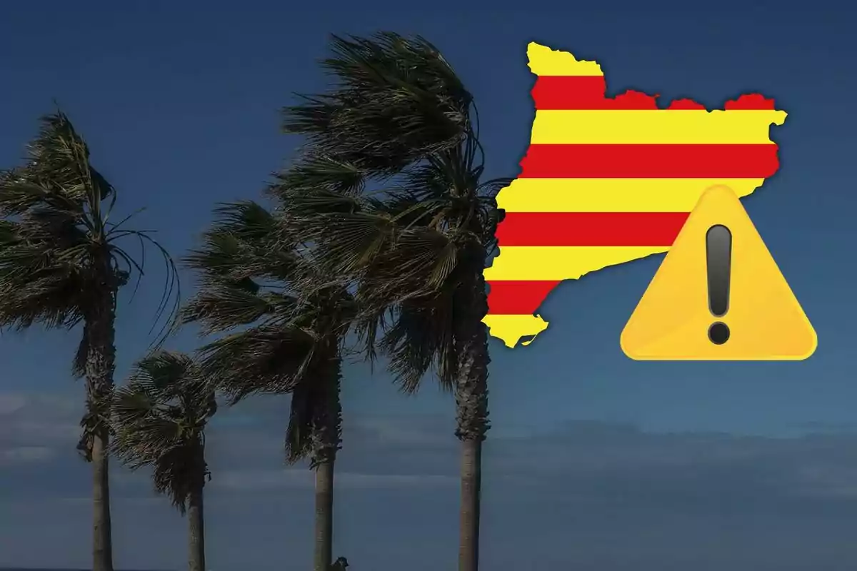 Palmeras inclinadas por el viento con un mapa de Cataluña en colores de la senyera y un icono de advertencia.