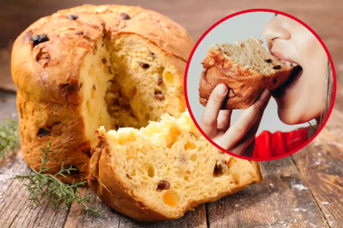 Montaje con un panettone cortado y un círculo con una chica comiendo un trozo del mismo dulce