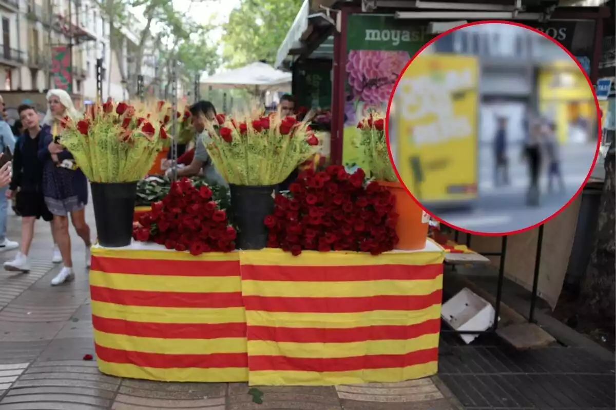 Montaje de una parada de rosas en la calle para Sant Jordi y un cartel de Obrim Carrers desenfocado