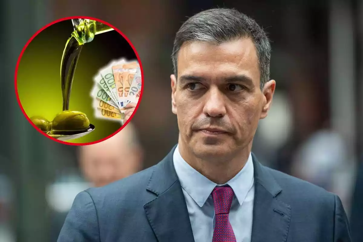 Montaje de Pedro Sánchez, aceite de oliva y billetes de euro