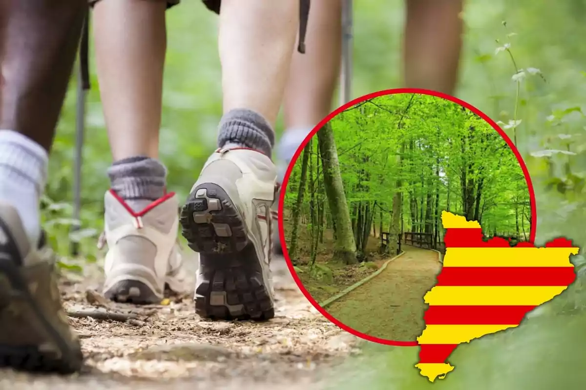 Personas caminando por un sendero en el bosque con una imagen insertada de un camino forestal y un mapa de Cataluña.