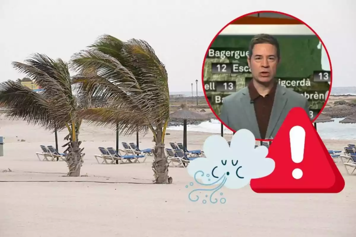 Playa con palmeras inclinadas por el viento, sillas de playa vacías y Enric Agud en un recuadro circular con símbolos de advertencia y viento.