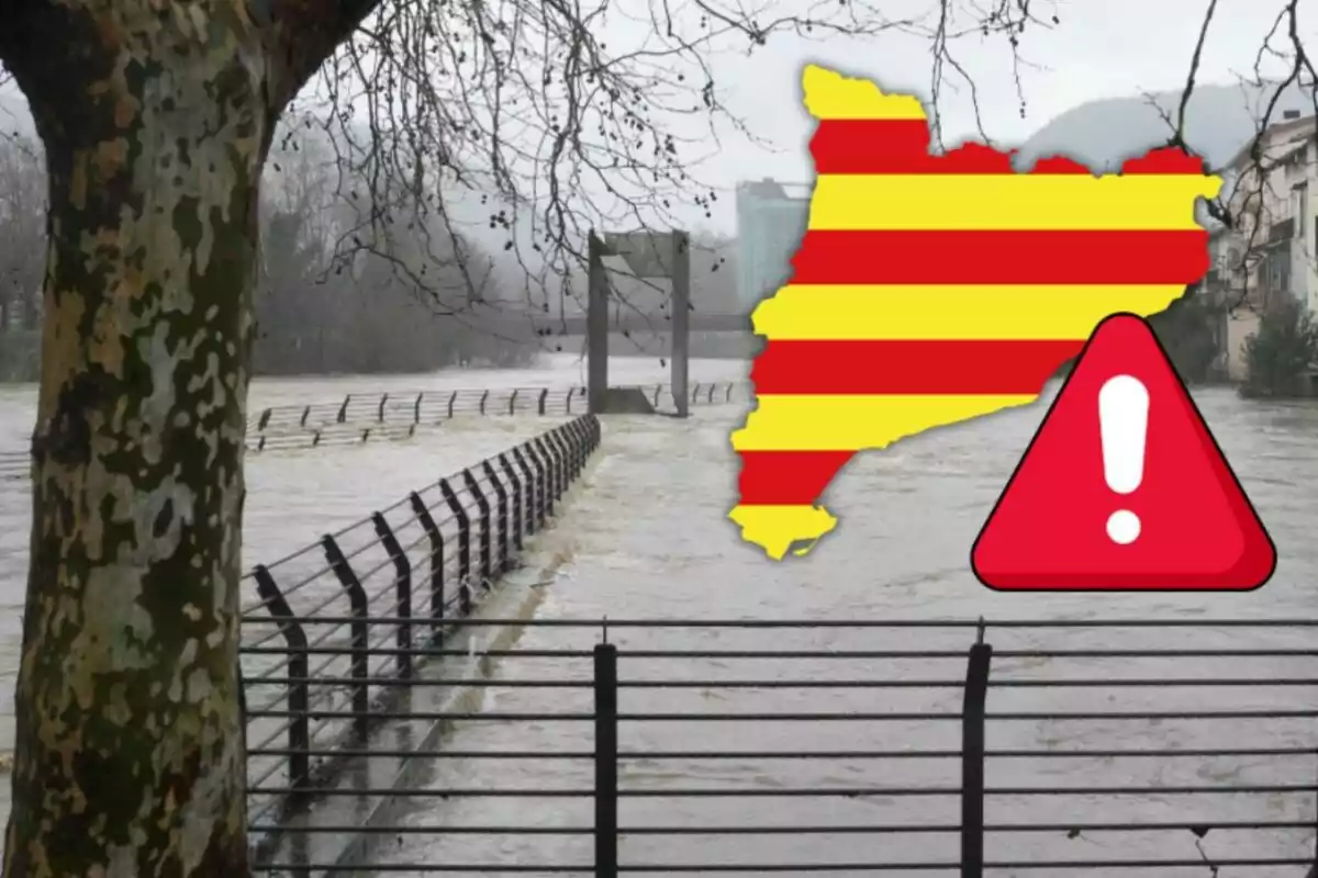 Inundación en un área con un árbol en primer plano y un mapa con franjas rojas y amarillas junto a un símbolo de advertencia.