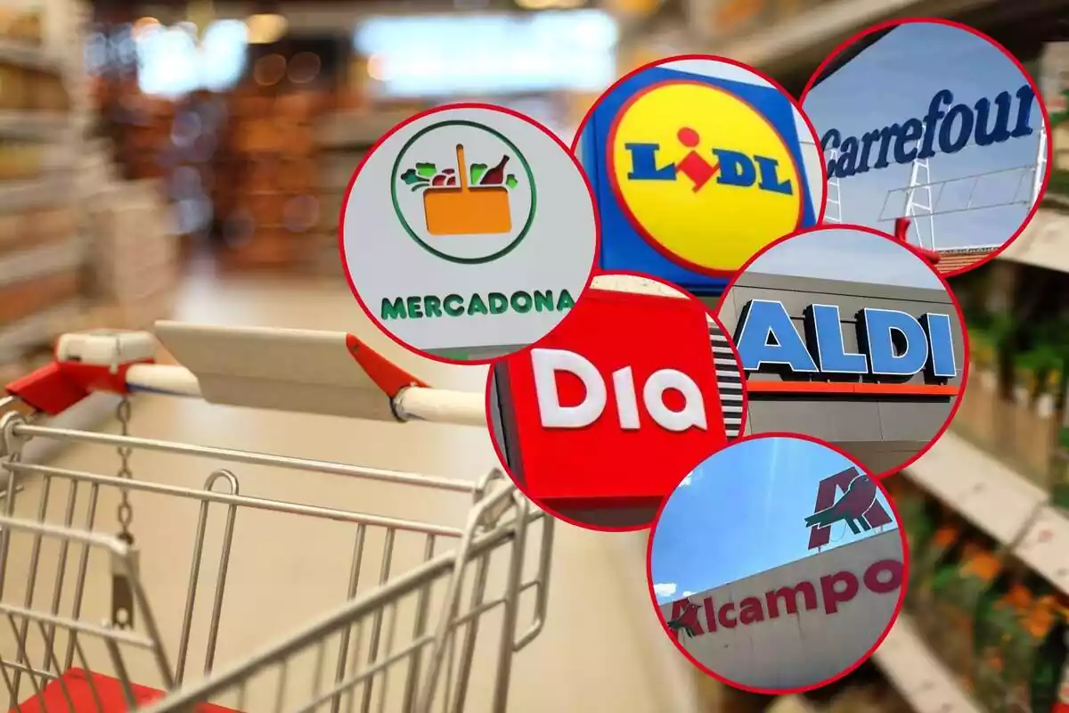 Montaje con un carrito en un supermercado y seis círculos con los logos de Mercadona, Lidl, Carrefour, Dia, Aldi y Alcampo