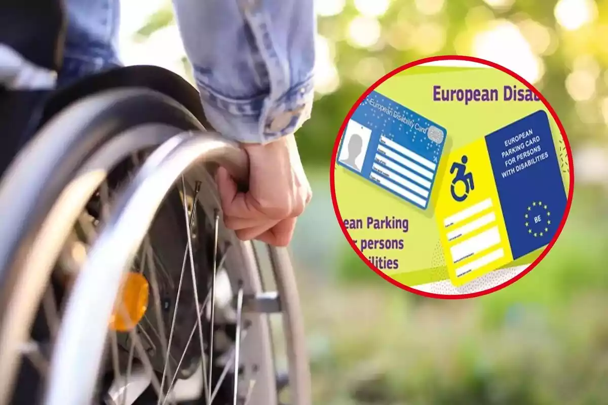 Montaje de una silla de ruedas y las tarjetas europeas de discapacidad