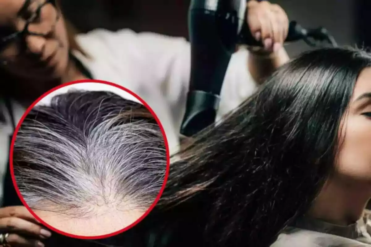 Una persona está secando el cabello de otra con un secador mientras un recuadro muestra un primer plano de raíces de cabello canoso.