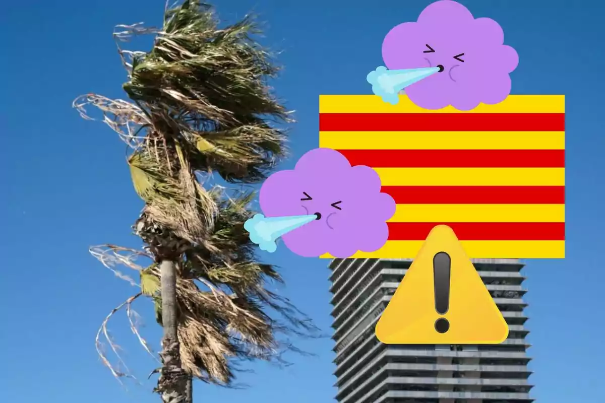 Una palmera inclinada por el viento fuerte con un edificio alto al fondo, dos nubes moradas soplando viento y un signo de advertencia amarillo con un signo de exclamación.