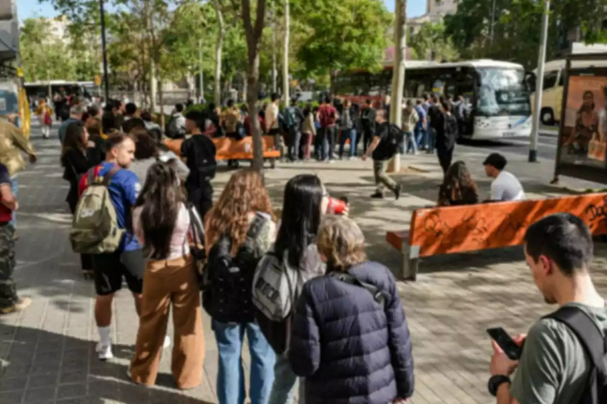 Un grupo de personas hace fila en una acera arbolada mientras esperan para abordar un autobús.