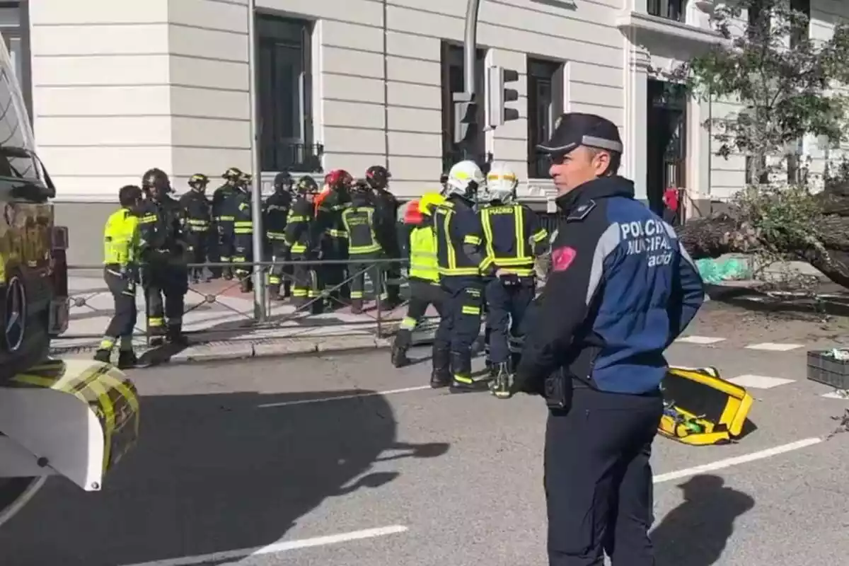 Imagen del Samur trabajando en Madrid tras el fallecimiento de una joven por la caída de un árbol