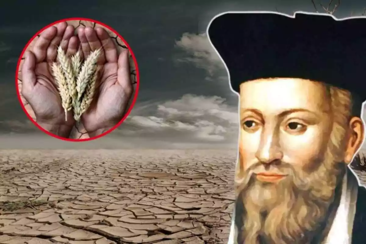 Imagen de fondo de tierra muy seca, junto a otra de una persona con trigo en la mano y de Nostradamus en una esquina