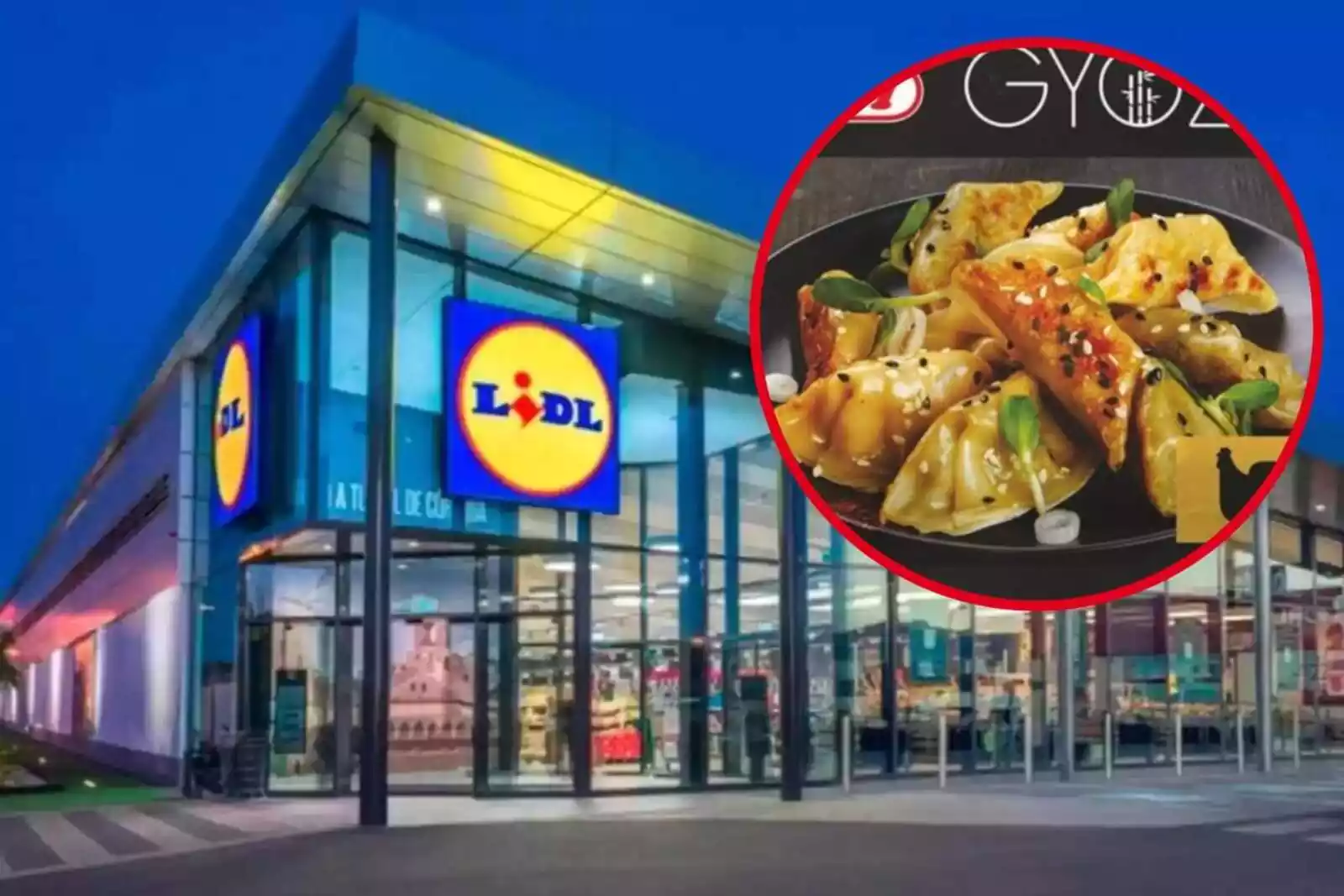 El nuevo producto de Lidl que es top en ventas: un lavavajillas compacto sin  conexión de agua