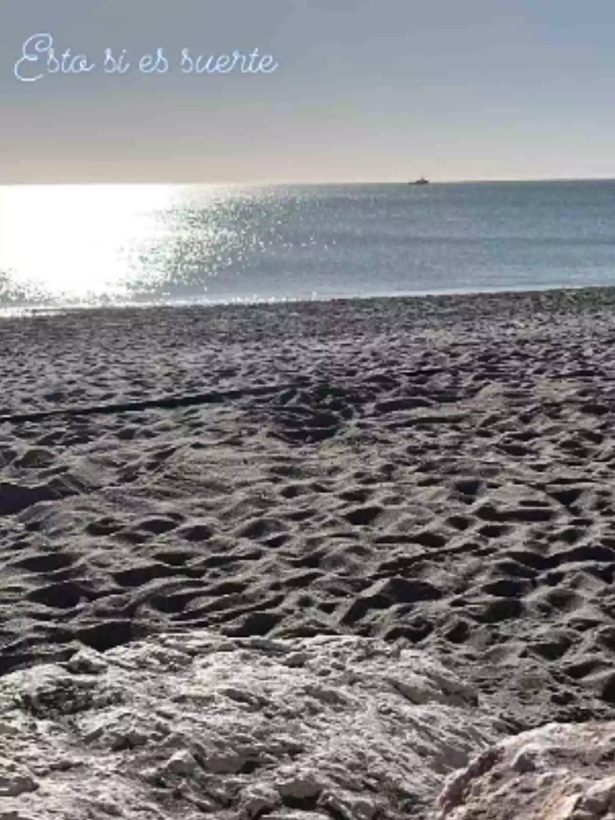 Storie de Olga Moreno en Instagram en la playa el 7 de noviembre de 2023 Storie de Olga Moreno en Instagram en la playa el 7 de noviembre de 2023