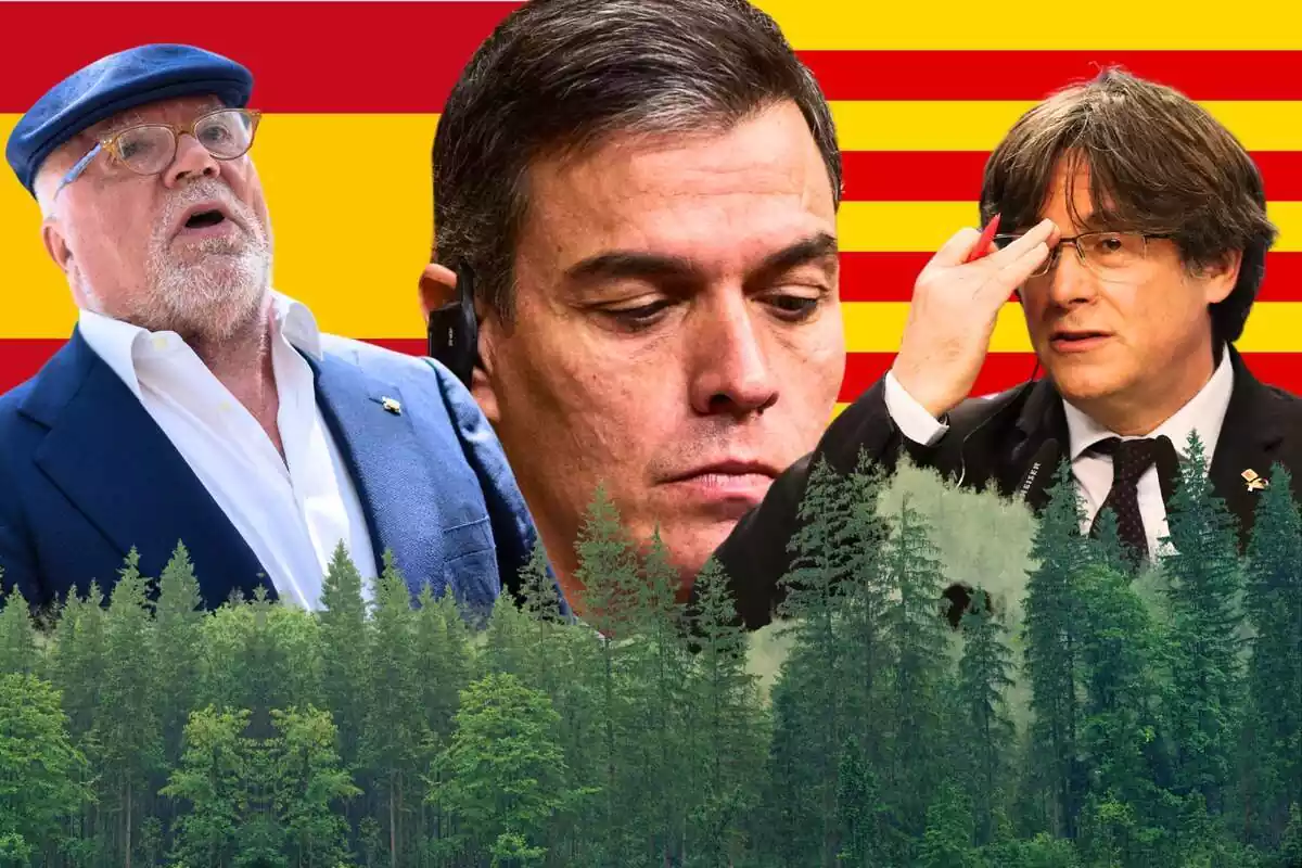 Montaje con el comisario Villarejo, Pedro Sanchez y Carles Puigdemont con un bosque en primer plano y las banderas de España y Cataluña de fondo