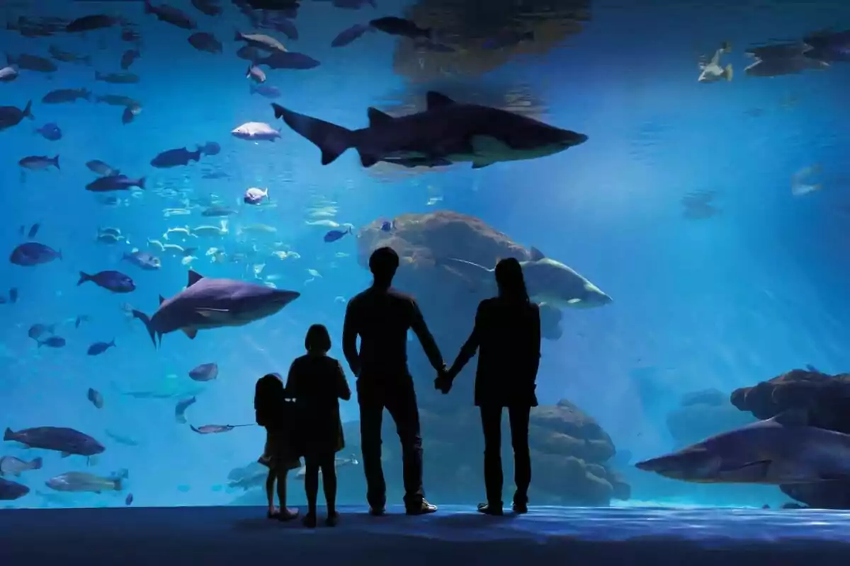 Una familia observa tiburones y peces en un gran acuario.