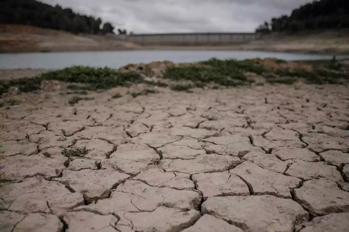 Imagen del pantano de Riudecanyes afectado por la sequía