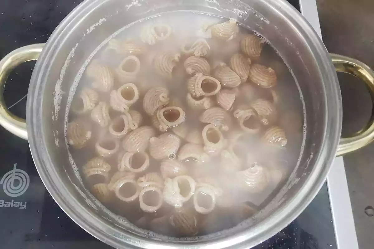 Pasta de 100% espelta integral cocida Pasta de 100% espelta integral cocida