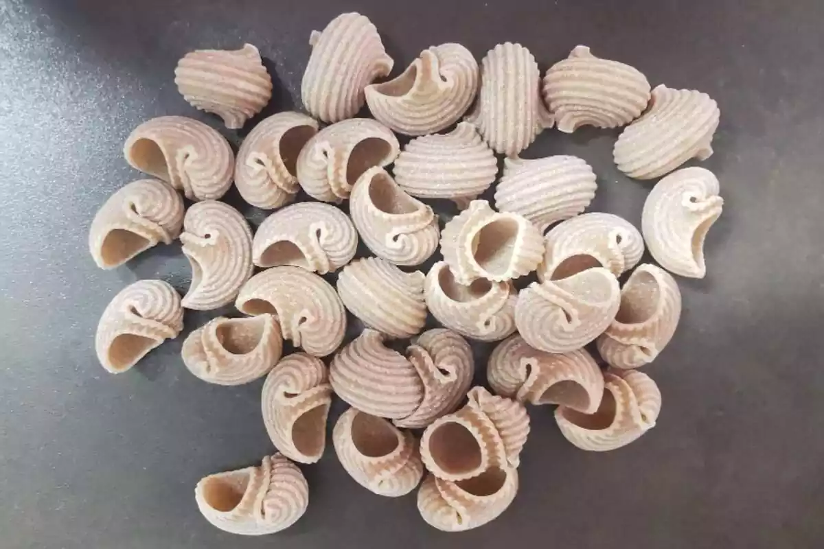 Pasta en forma de tiburón de Eroski Pasta en forma de tiburón de Eroski