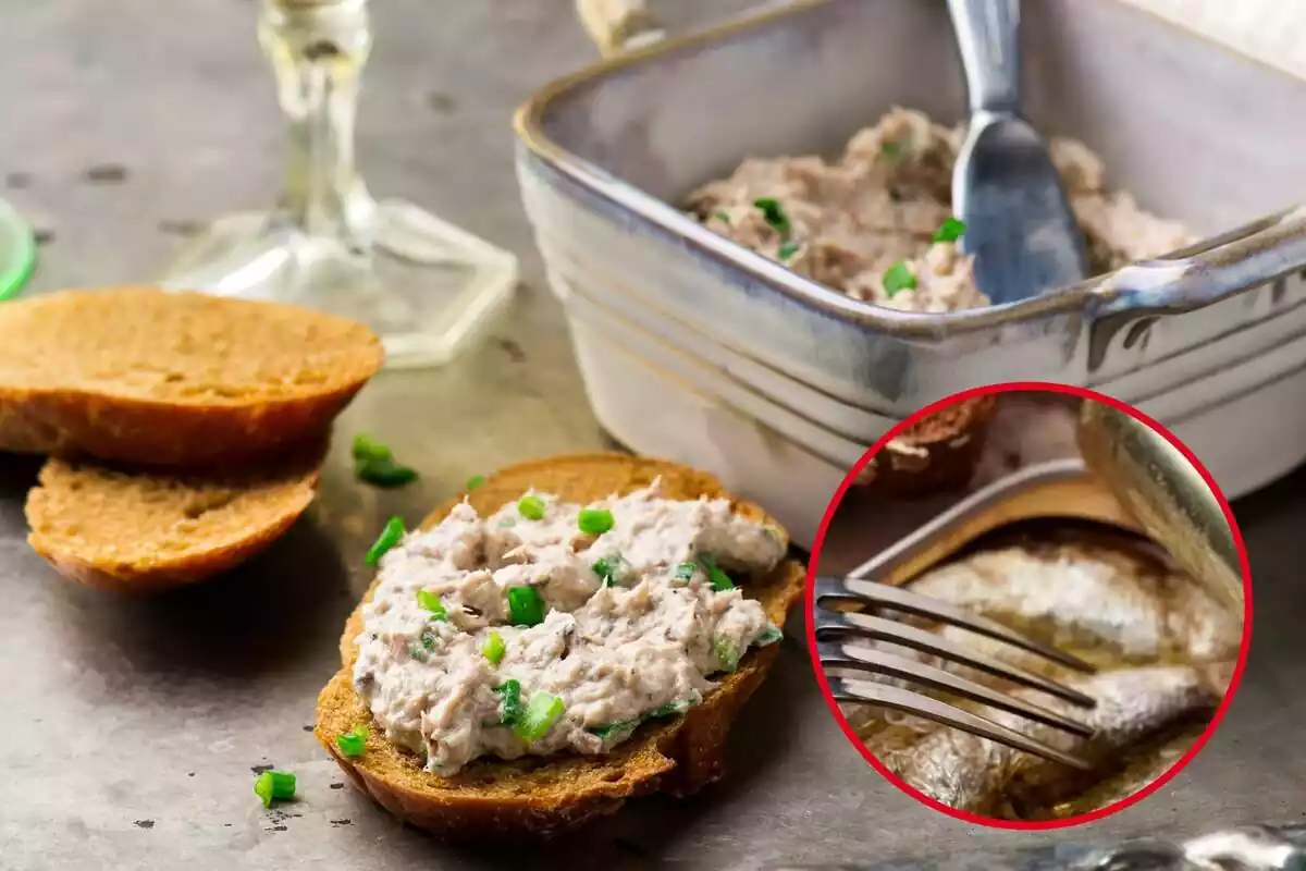 Detalle de tenedor en una lata de sardinas, en círculo rojo sobre fondo de mesa con paté de sardinas en un recipiente de metal cuadrado y rebanadas de pan, una de ellas untada