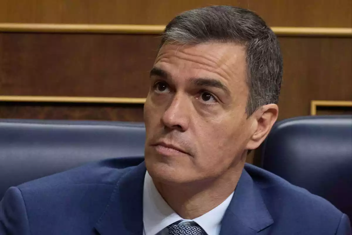 Plano medio corto de Pedro Sánchez sentado en su escaño en el Congreso de los Diputados y mirando hacia arriba