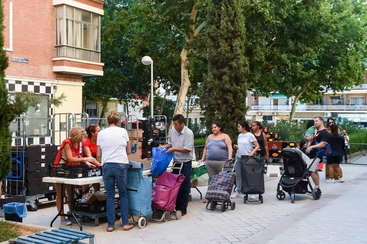 Varias persona hacen cola para recibir productos de primera necesidad donados, en la Plaza de San Amaro, a 16 de agosto de 2023, en Madrid (España)