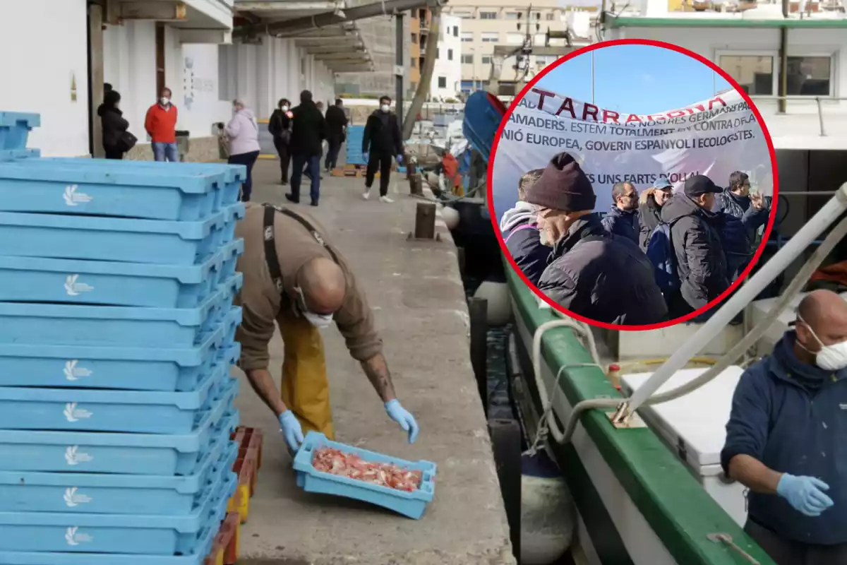 Pescadores catalanes trasladando su captura y un montaje de una manifestación a favor de la pesca