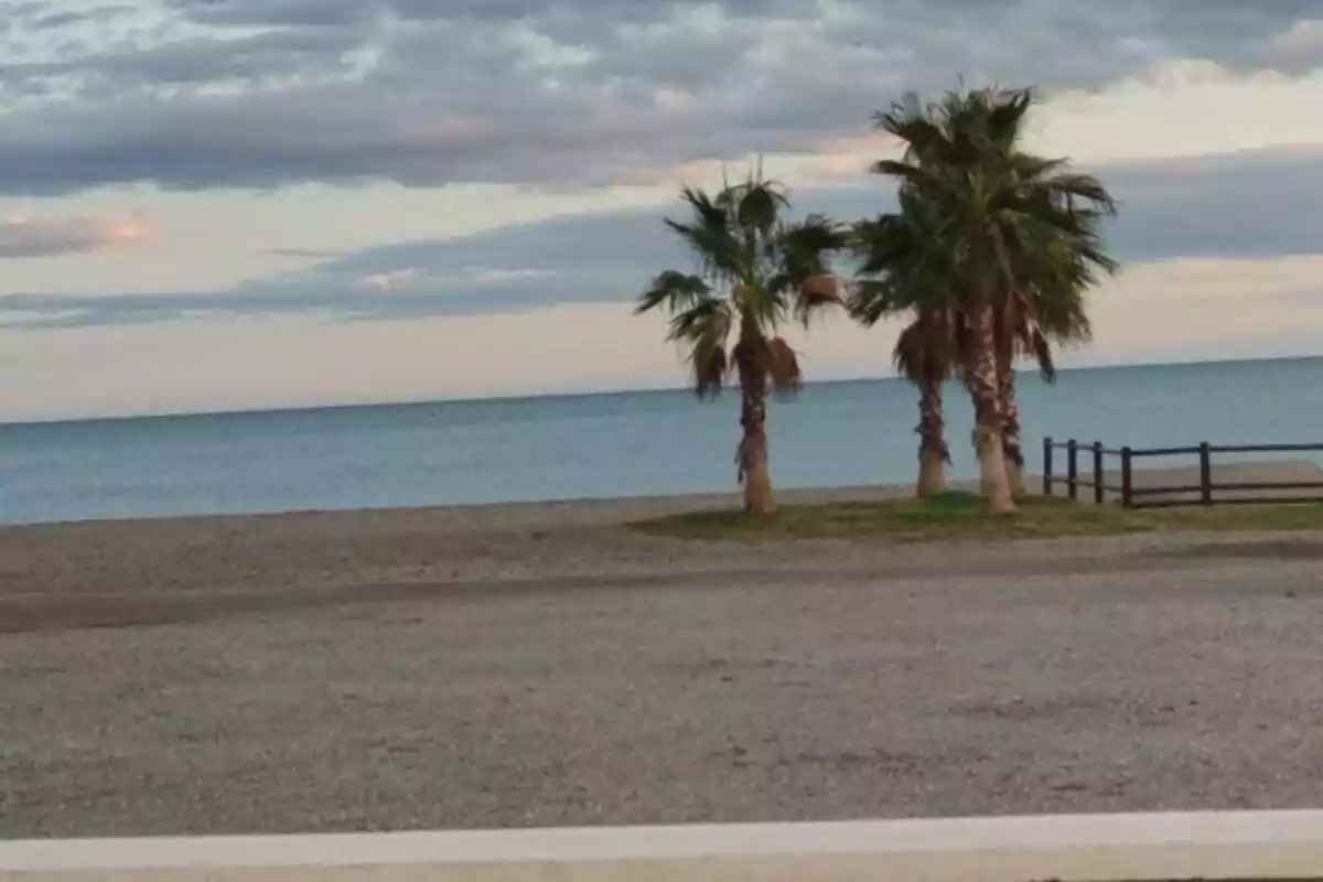 Playa de Málaga