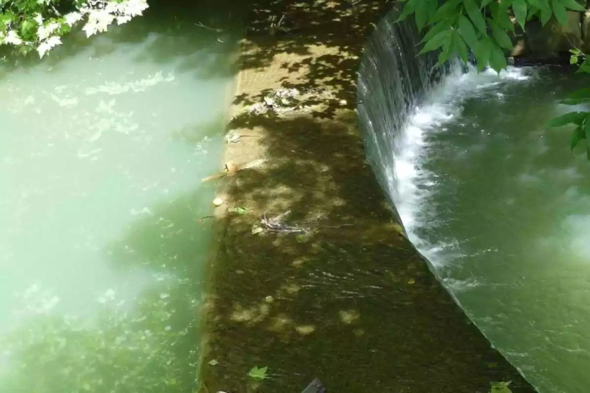 Una presa del río Ibaizabal en Abadiño