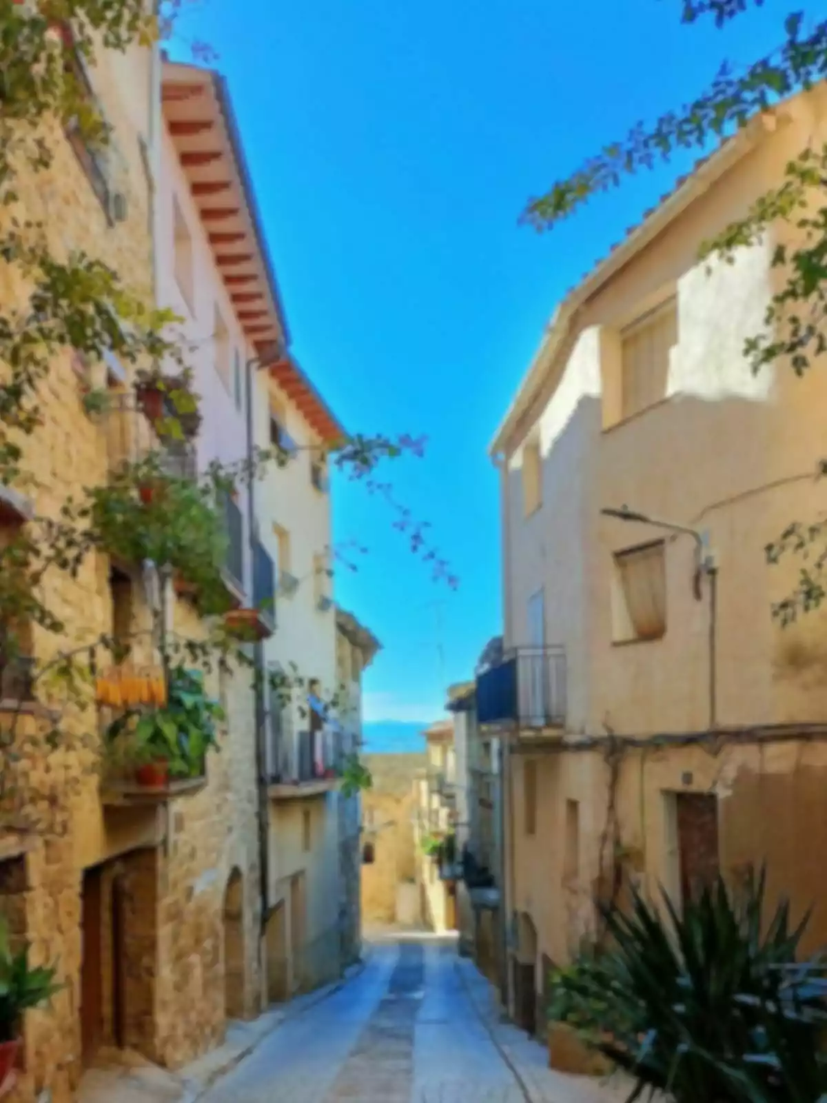 Una calle estrecha y empedrada entre edificios antiguos con balcones y plantas, bajo un cielo azul claro. Una calle estrecha y empedrada entre edificios antiguos con balcones y plantas, bajo un cielo azul claro.