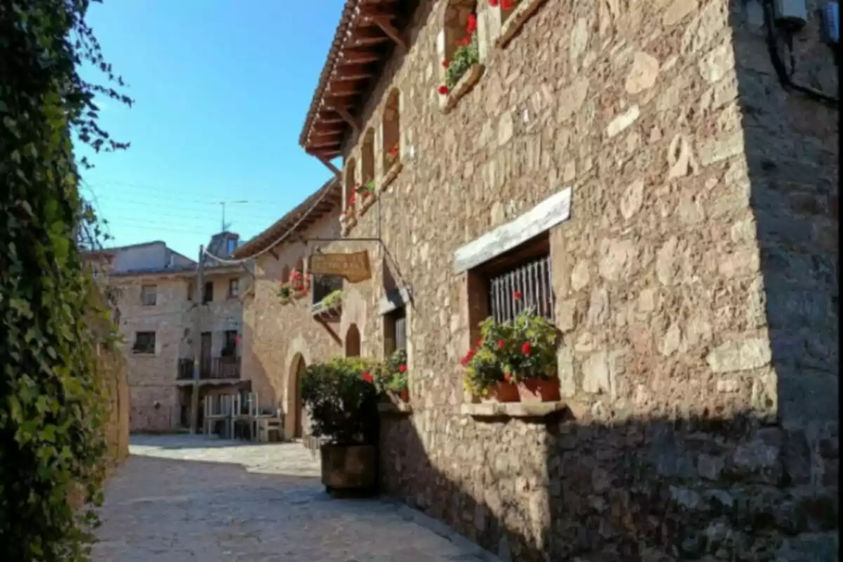 Callejón empedrado con casas de piedra y ventanas adornadas con flores rojas.