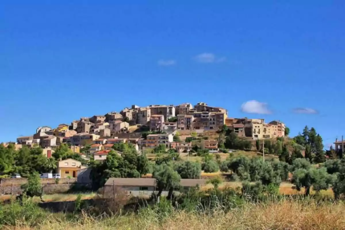 Vista panorámica de un pueblo en una colina con casas de piedra y vegetación en primer plano bajo un cielo azul claro. Vista panorámica de un pueblo en una colina con casas de piedra y vegetación en primer plano bajo un cielo azul claro.
