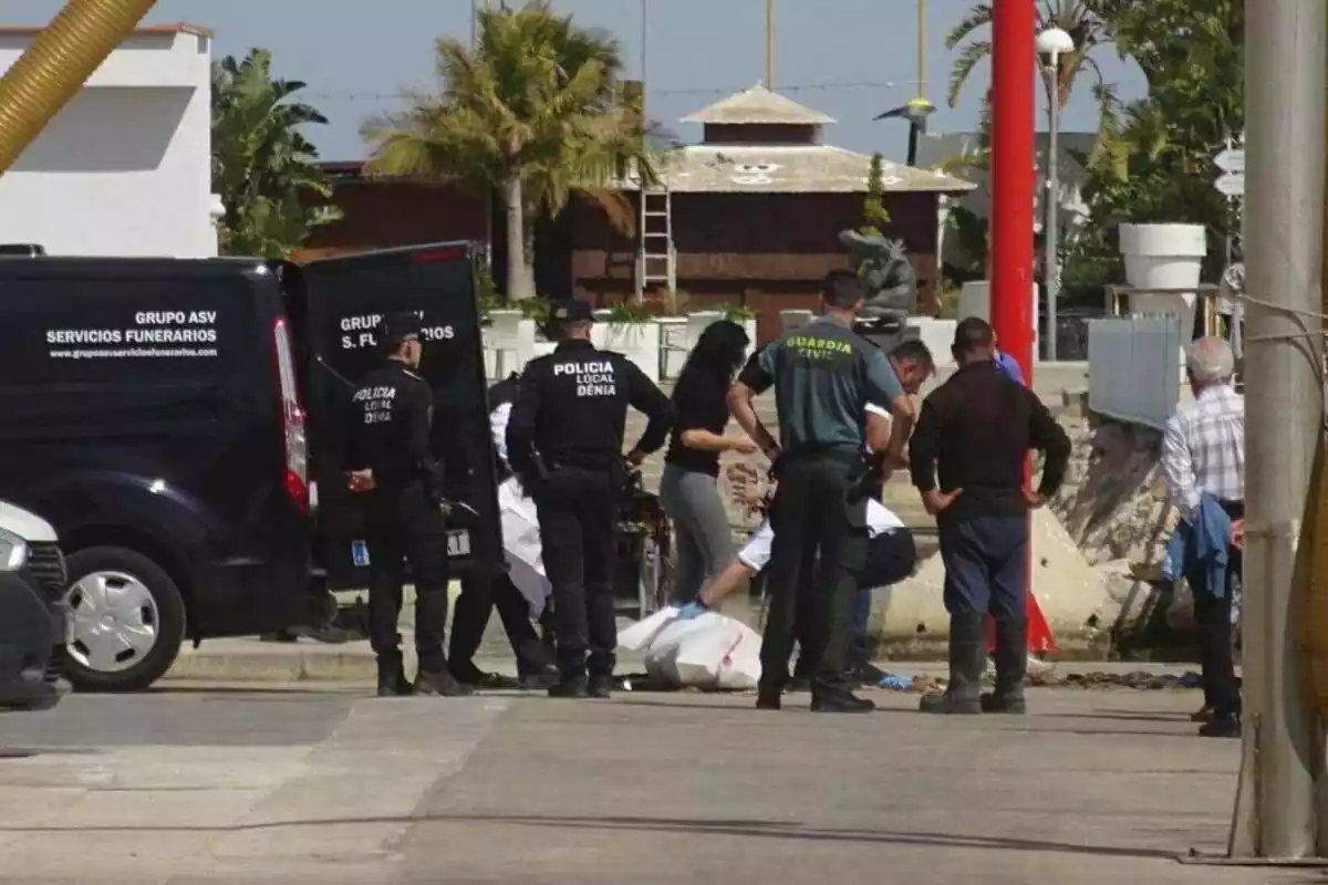 Un cadáver en el suelo del puerto de Denia junto a la policía local, Guardia Civil y servicios funerarios