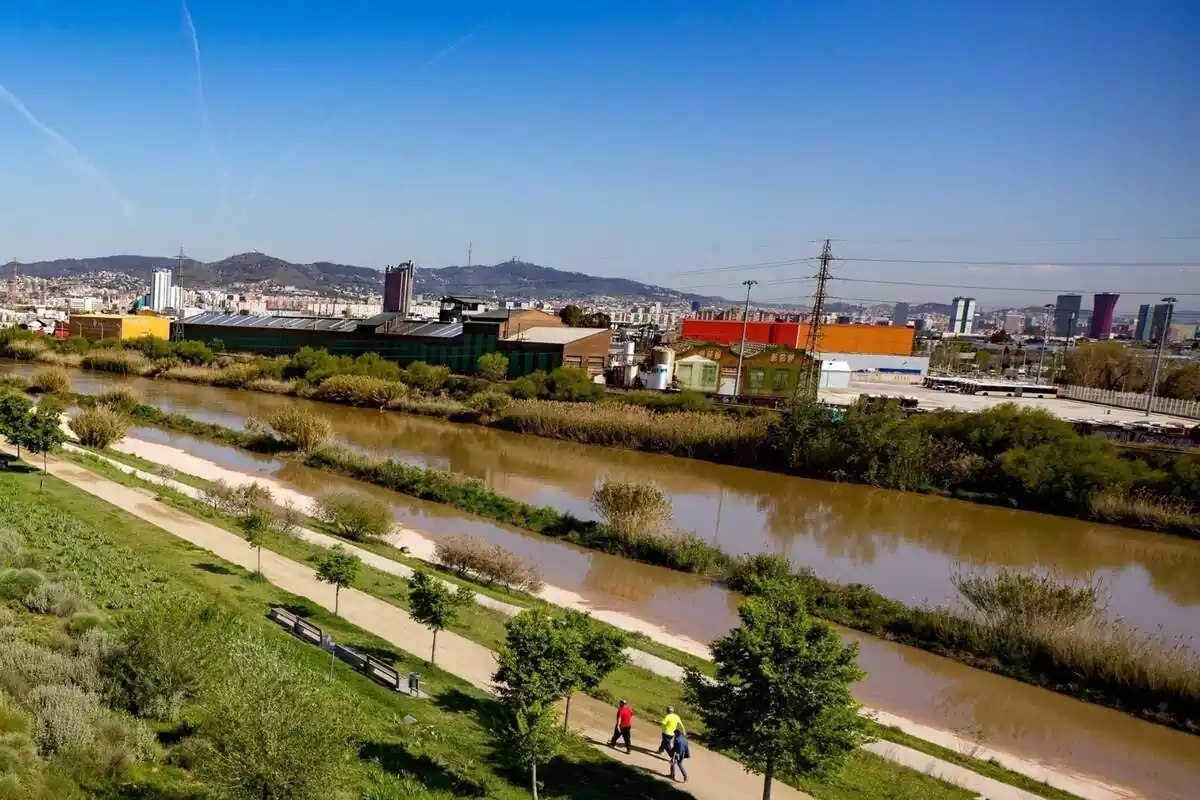 Imagen del río Llobregat, en el Prat de Llobregat (Barcelona)