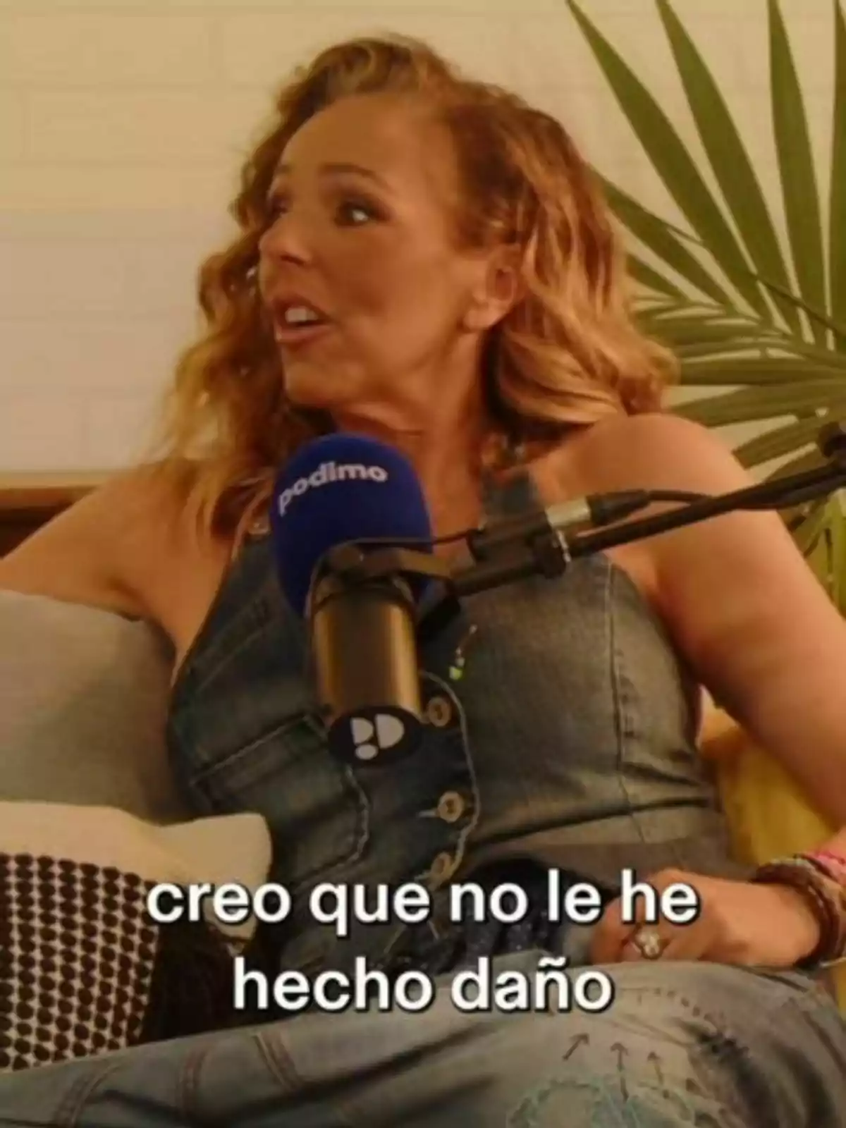 Rocío Carrasco con vestido de mezclilla está hablando en un micrófono azul con la palabra Rocío Carrasco con vestido de mezclilla está hablando en un micrófono azul con la palabra