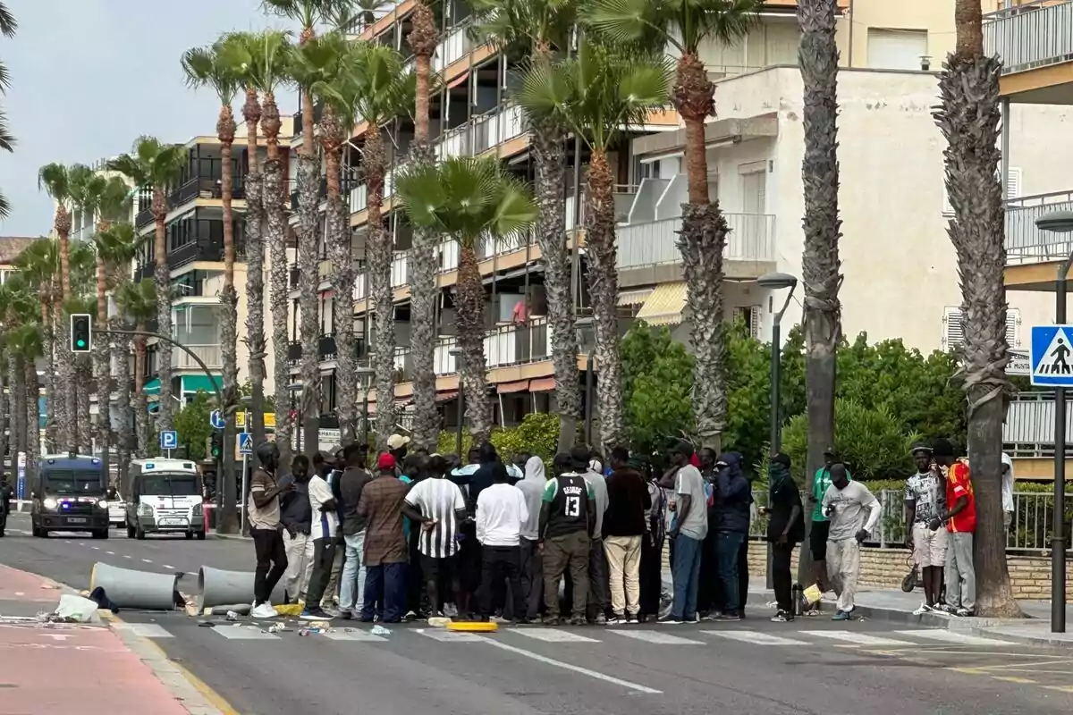 Un grupo numeroso de personas se encuentra reunido en una calle bordeada de palmeras, con algunos contenedores volcados y basura en el suelo, mientras al fondo se observan vehículos policiales y edificios residenciales. Un grupo numeroso de personas se encuentra reunido en una calle bordeada de palmeras, con algunos contenedores volcados y basura en el suelo, mientras al fondo se observan vehículos policiales y edificios residenciales.