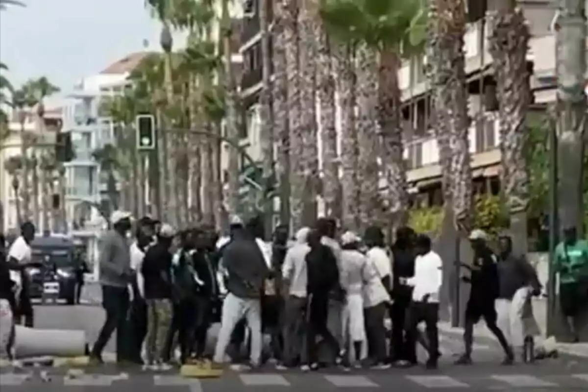 Un grupo de personas reunidas en una calle con palmeras y edificios al fondo
