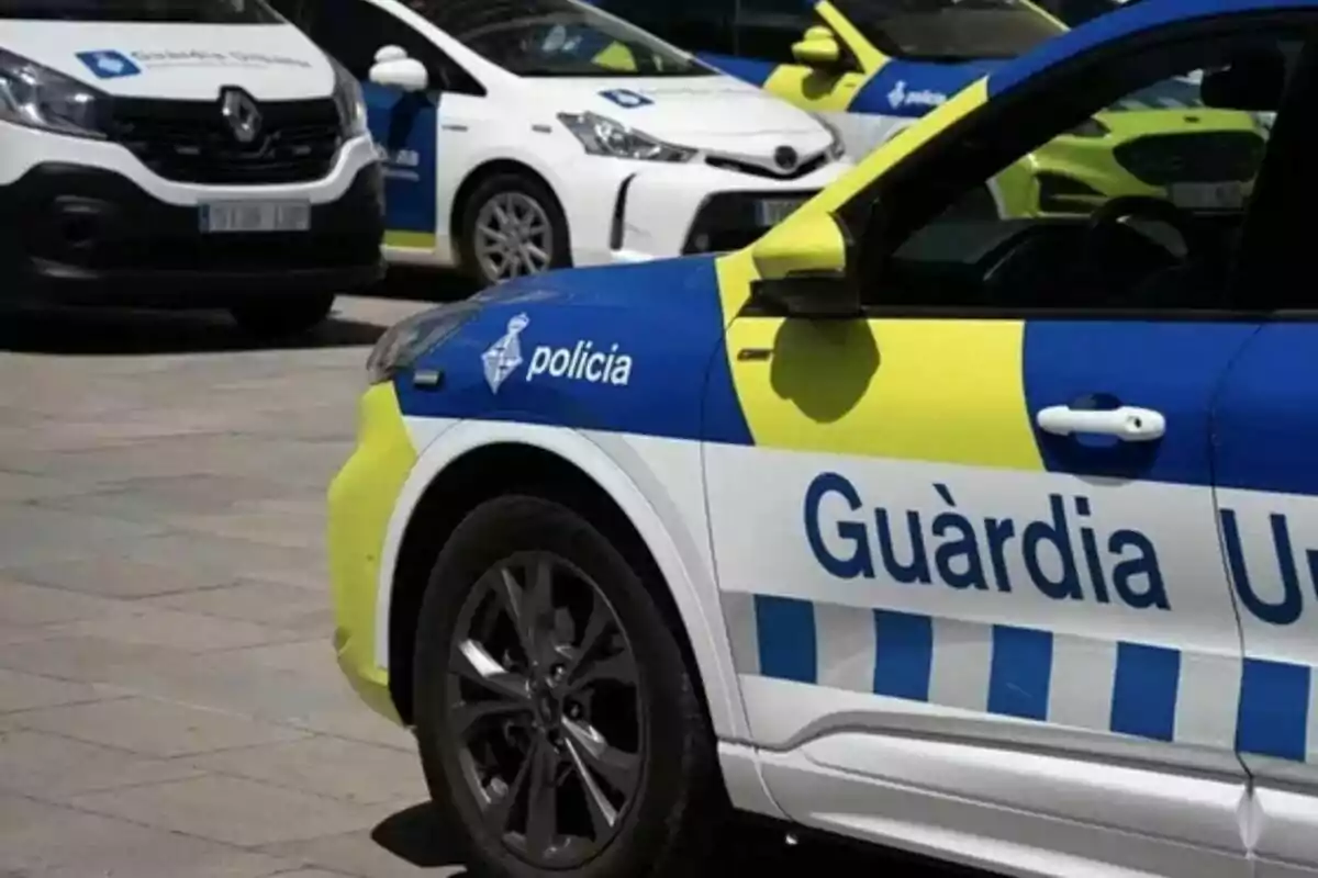 Vehículos de la policía local con distintivos azules y amarillos estacionados en una calle. Vehículos de la policía local con distintivos azules y amarillos estacionados en una calle.