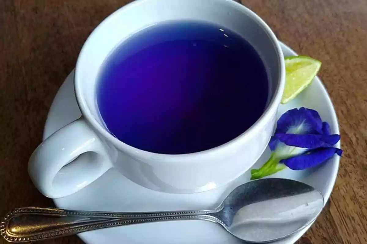 Taza de té azul con una flor y una rodaja de limón en un plato blanco junto a una cuchara. Taza de té azul con una flor y una rodaja de limón en un plato blanco junto a una cuchara.