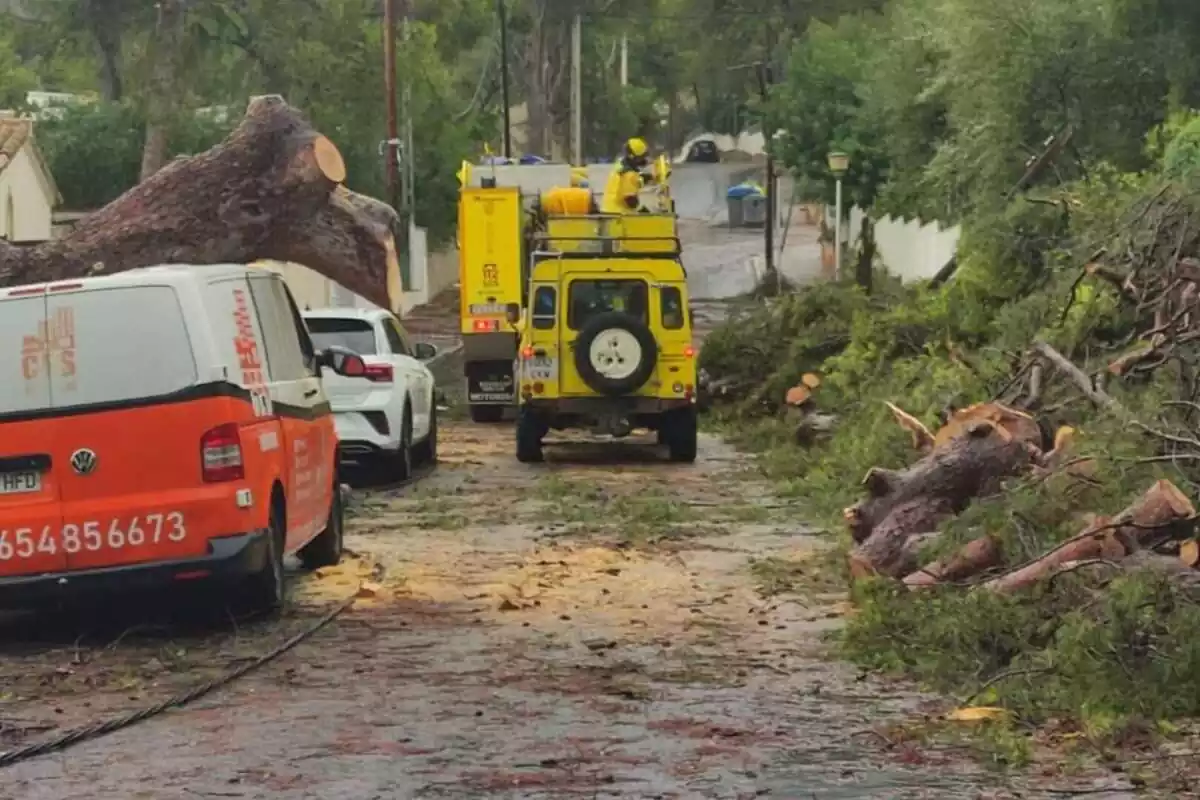 Calle de Calvià (Mallorca) afectada por el temporal