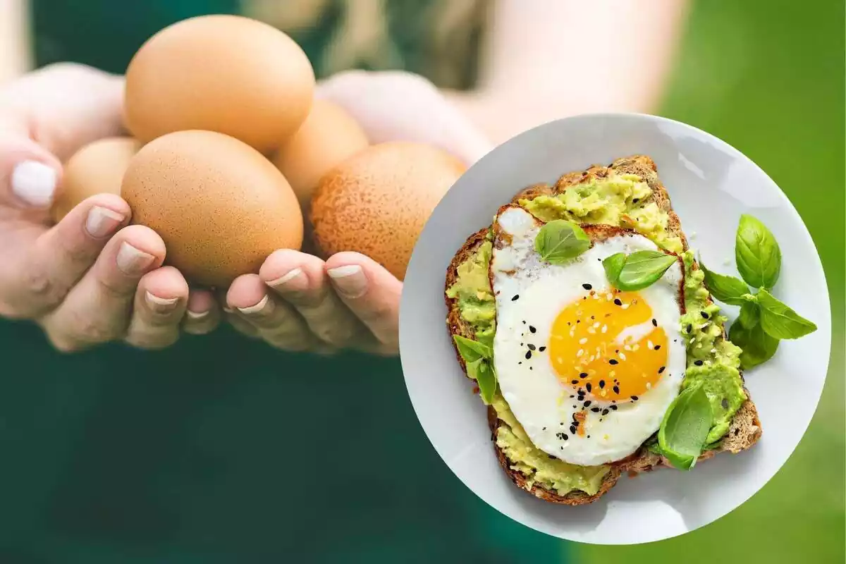 Montaje con una imagen de una persona con varios huevos en la mano y en un círculo otra imagen de una tostada con aguacate y un huevo frito encima Montaje con una imagen de una persona con varios huevos en la mano y en un círculo otra imagen de una tostada con aguacate y un huevo frito encima
