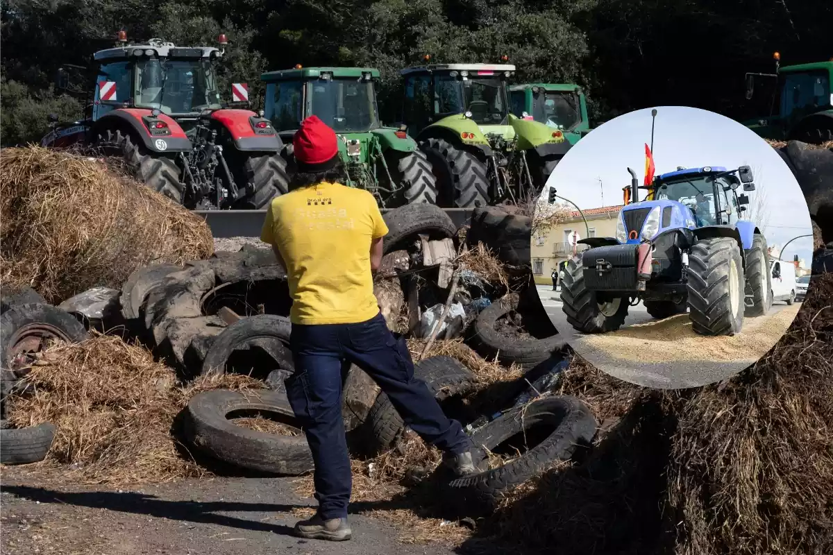 Varios tractores en fila en las protestas de los agricultores en Bélgica