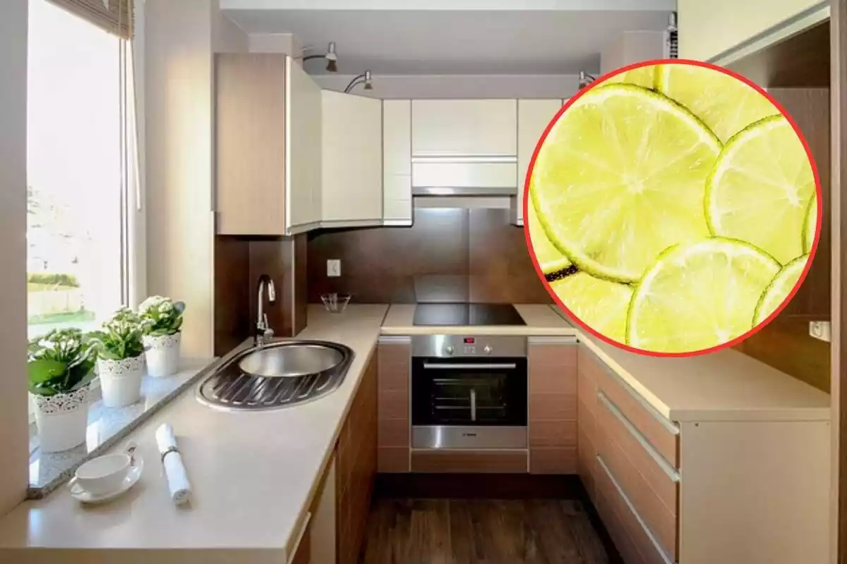 montaje de foto de una cocina con limones