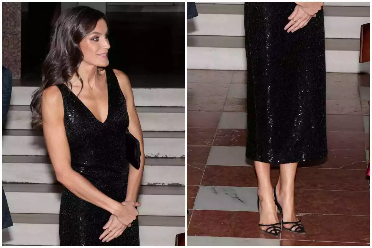Montaje de fotos de la reina Letizia Ortiz con el vestido que llevó en la inauguración de una exposición sobre Sorolla el 7 de noviembre de 2023, en Copenhague (Dinamarca) Montaje de fotos de la reina Letizia Ortiz con el vestido que llevó en la inauguración de una exposición sobre Sorolla el 7 de noviembre de 2023, en Copenhague (Dinamarca)