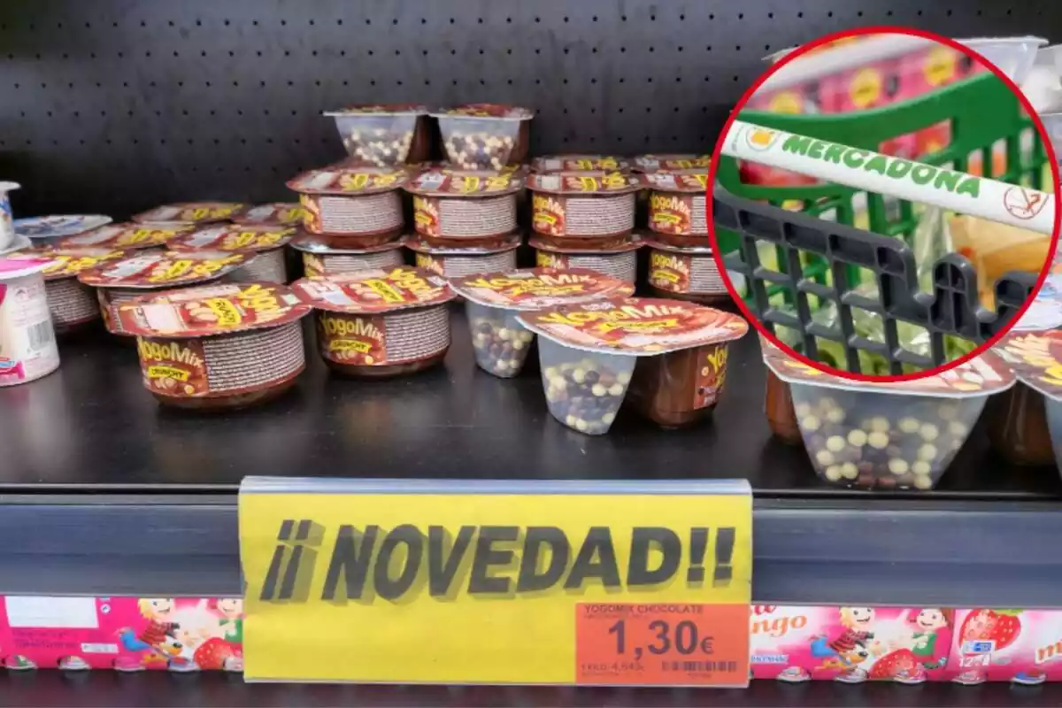 Nuevo yogomix de Mercadona